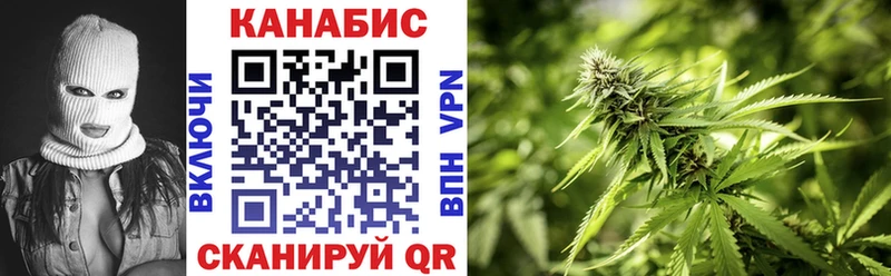 Где купить наркотики Кыштым Конопля  Cocaine  МЕТАДОН  Мефедрон  Псилоцибиновые грибы  ГАШ  АМФЕТАМИН 